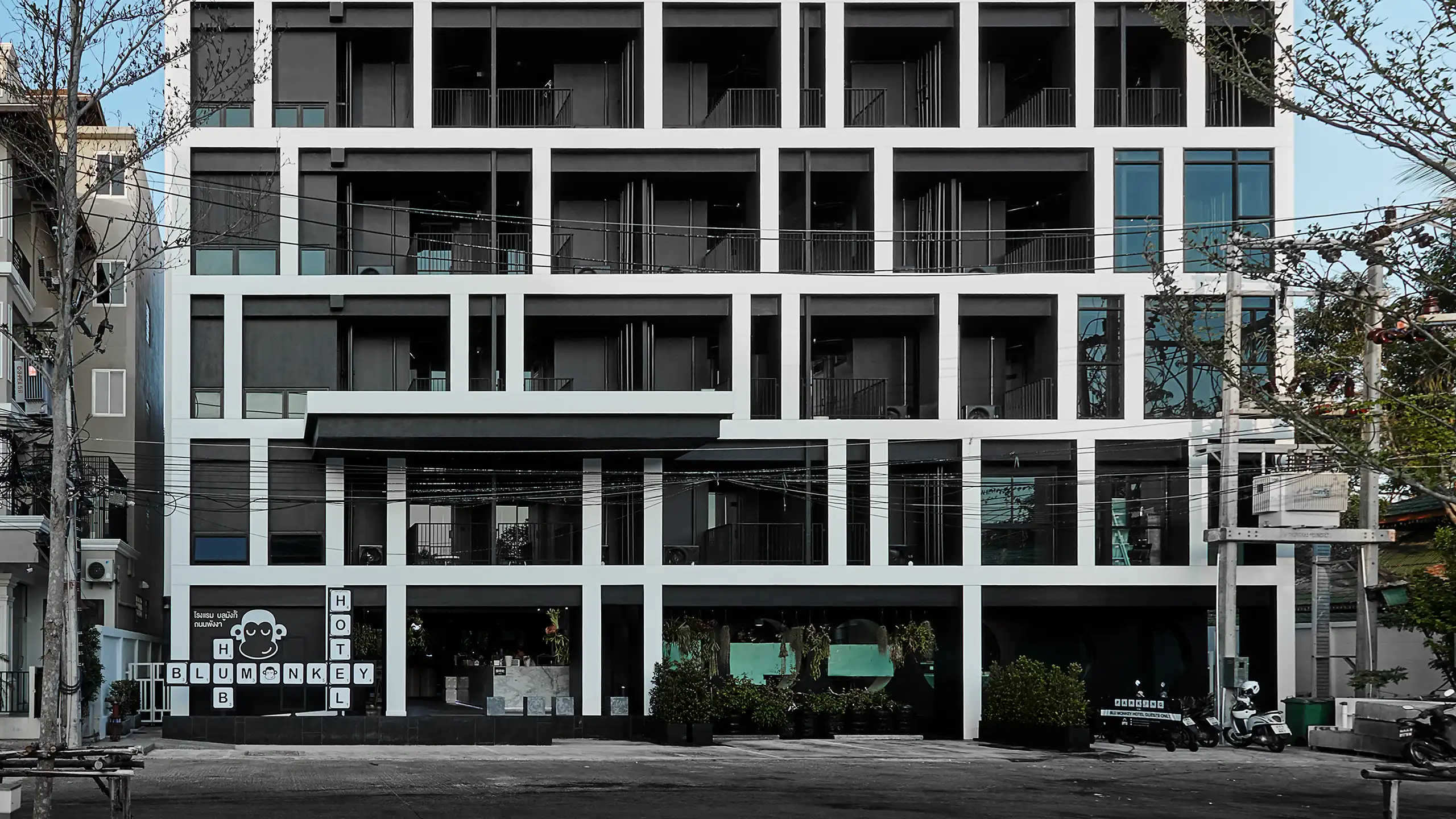 Blu Monkey Hub and Hotel